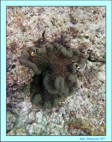 2012 - 07 - Palinton Sanctuary 26